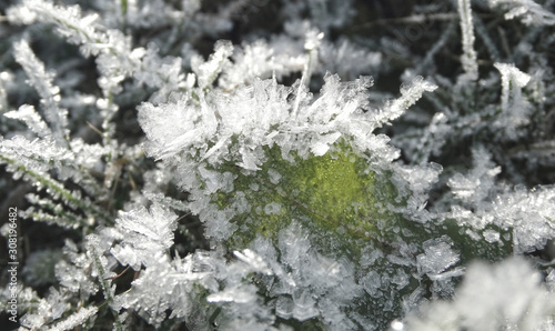 winter background with snowflakes crystals patterns and snow on frozen grass