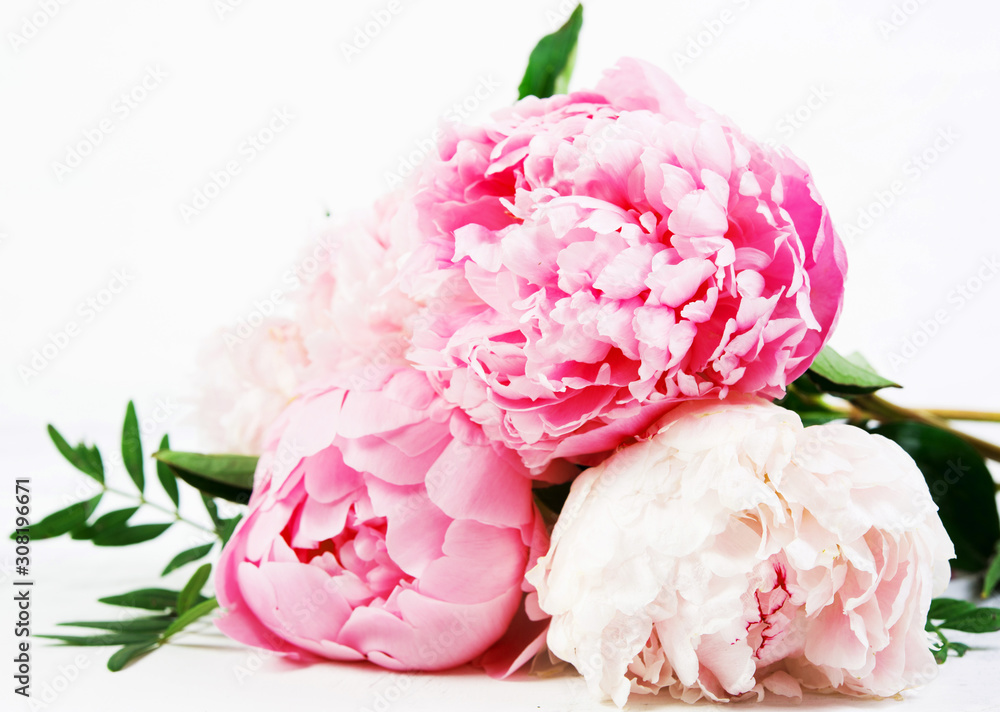 Fototapeta Close up bouquet of fresh beautiful flowers lies on a white background . Horizontal photo.