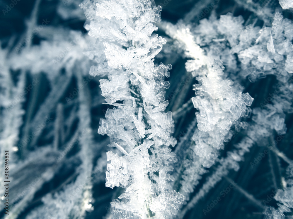 Fototapeta premium winter background with snowflakes crystals patterns and snow on frozen grass