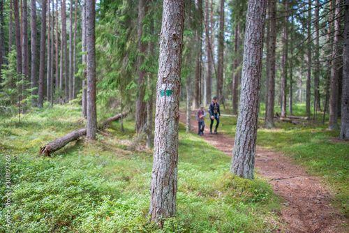 Pomeneurs (mère et fils) sur un chemin de randonnée en forêt, dans le parc national de Lahemaa, Estonie.