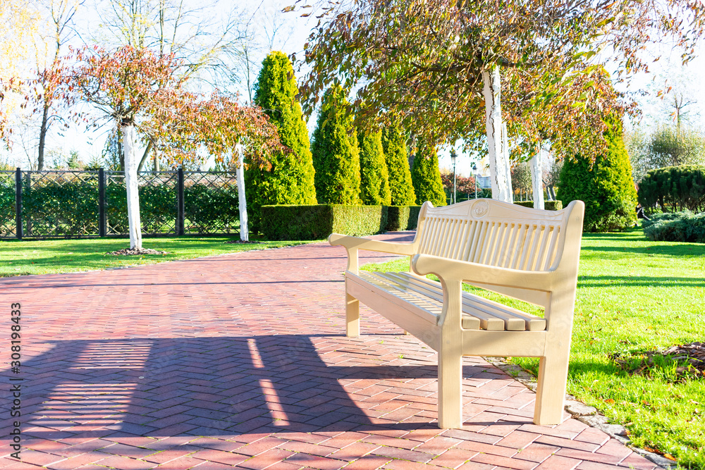 Fototapeta premium Wooden bench in the park. Beautiful park on a sunny day