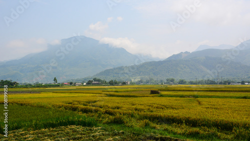 Terraced rice field in Northwest Vietnam © Phuong