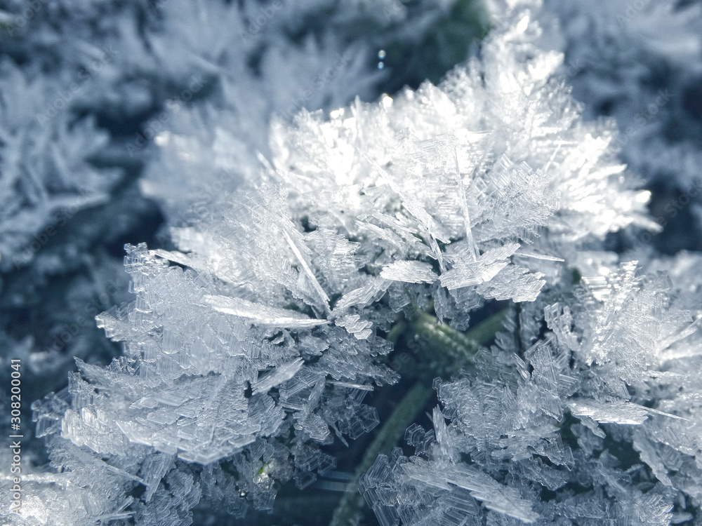 Fototapeta premium winter background with snowflakes crystals patterns and snow on frozen grass