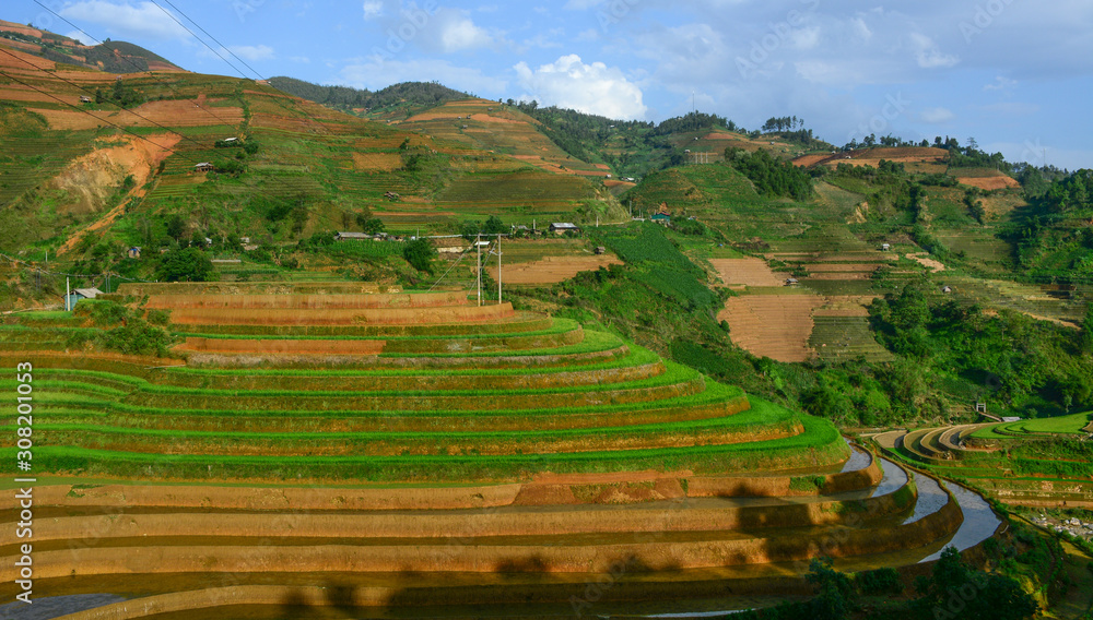 Obraz premium Terraced rice field in Northwest Vietnam