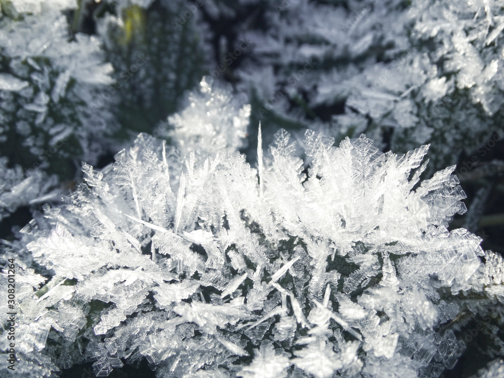 Fototapeta premium winter background with snowflakes crystals patterns and snow on frozen grass