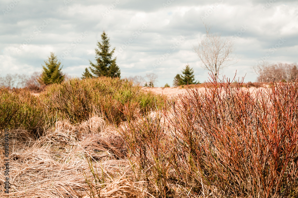 Fototapeta premium The High Fens