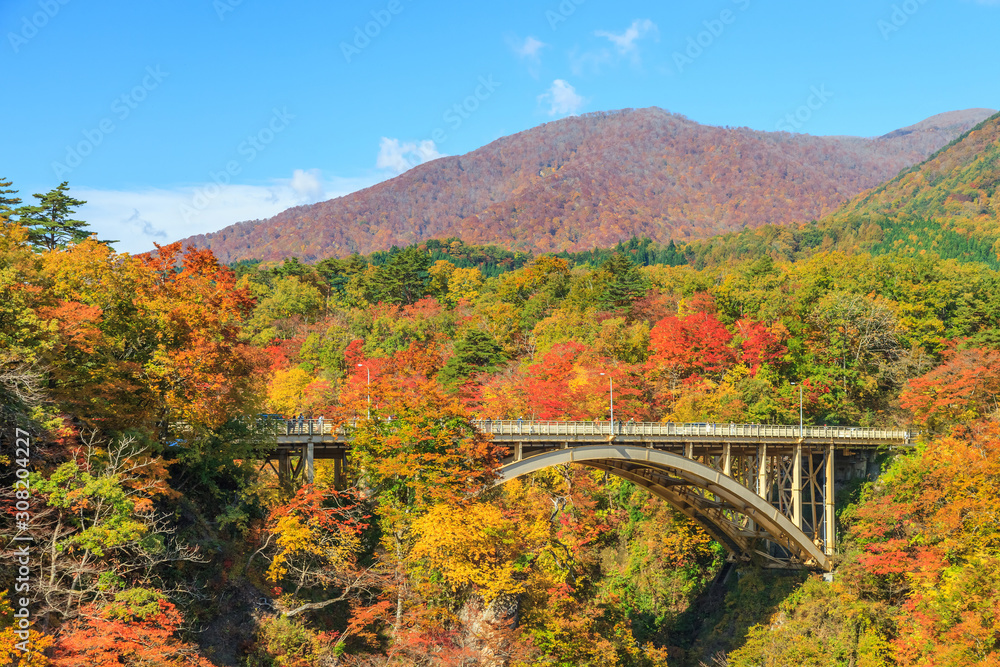 View of Naruko Gorge in autumn season, Miyagi, Japan View of Naruko Gorge in autumn season, Miyagi, Japan