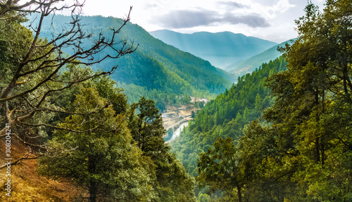 Mountain forest in Bhutan, the Himalayas in the spring, on the way to the mountain monastery Cheri near Thimphu. View of Thimphu valley from mountain path.