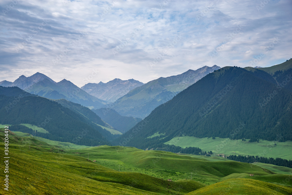 Fototapeta premium Mountain nature landscape with grassy green meadows