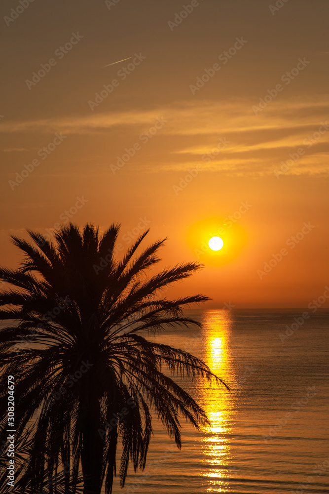 Obraz premium Beautiful sunrise landscape. Vertical color photography of black silhouette of palm tree isolated at sunny golden morning sky and sea water background. Color image.