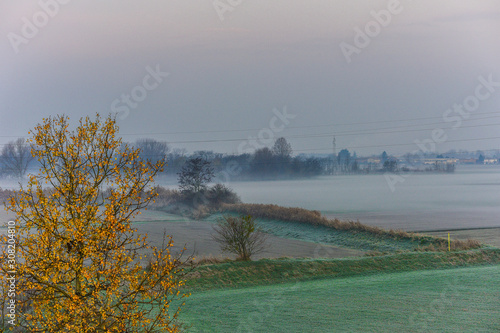 La nebbia del mattino in una distesa agricola photo