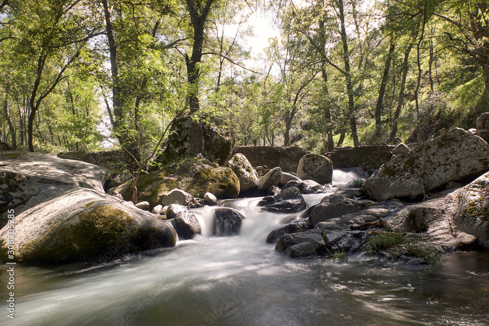 Fototapeta premium silky waterfall of a river in the heart of a forest