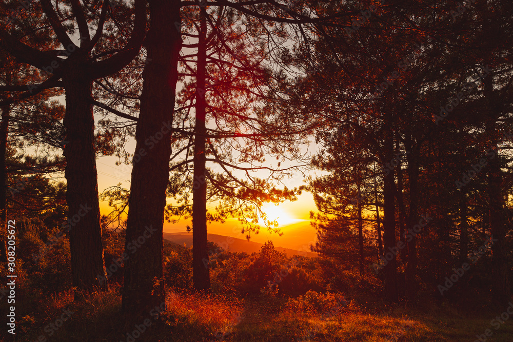Fototapeta premium Sunset on the Monte Limbara in Sardinia