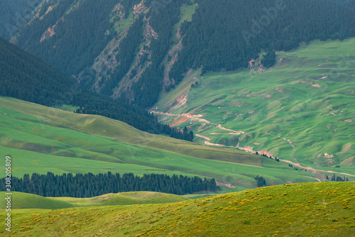 Beautiful landscape of grassy green meadows and mountain valley © Mo