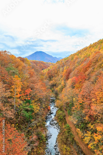 Colorful autumn landscape in urabandai mountain, Fukushima, Japan.