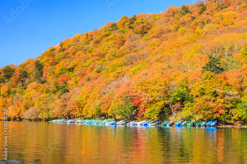 View around Chuzenji lake in autumn season  Nikko  Japan