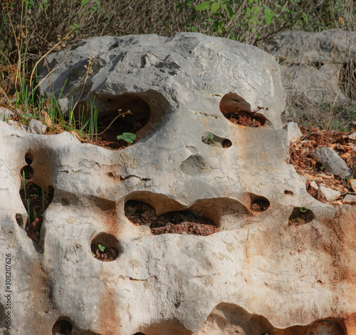 Εκτύπωση καμβά Natural skull shaped sandstone rock