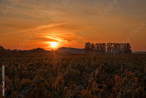 Sonnenaufgang bei Borschiv in der Ukraine photo