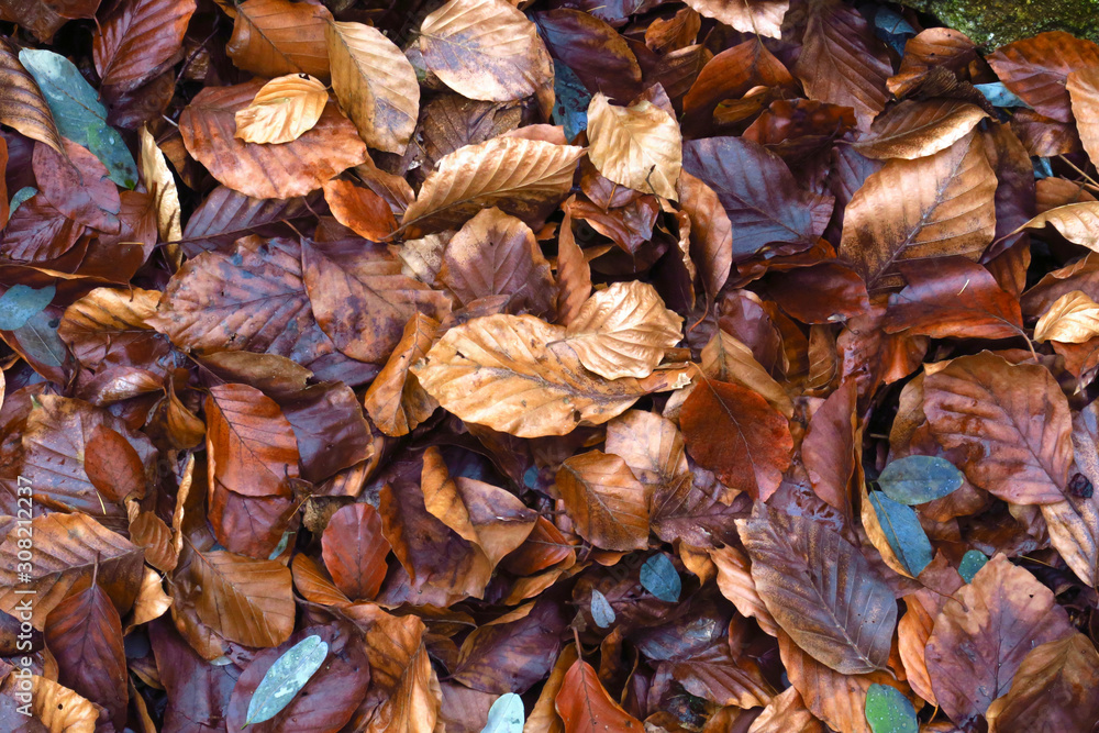 Herbstzeit Herbstzeit