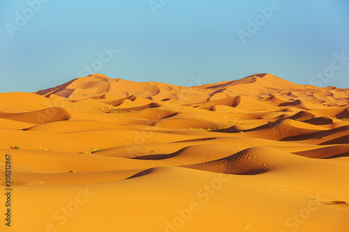 Sickle-shaped sand dunes in the light of the setting sun at Erg Chebbi