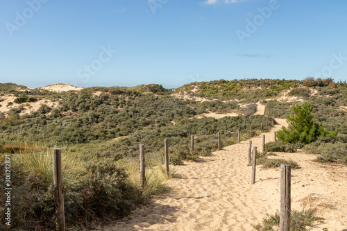 Fototapeta Naklejka Na Ścianę i Meble -  Sentier sablonneux dans l'Espace naturel Sensible des dunes de la Slack