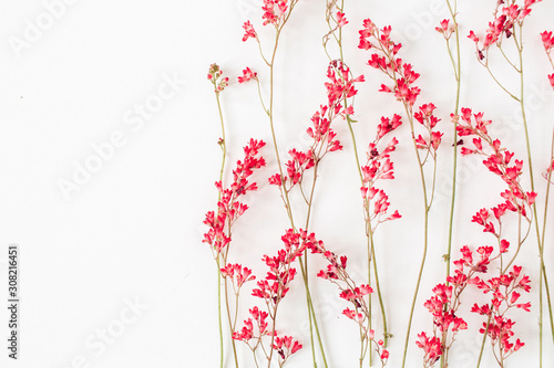 Red wildflowers pattern on white background.