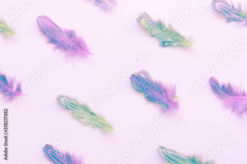 Green and purple fluffy feathers in open composition pattern © World of AI