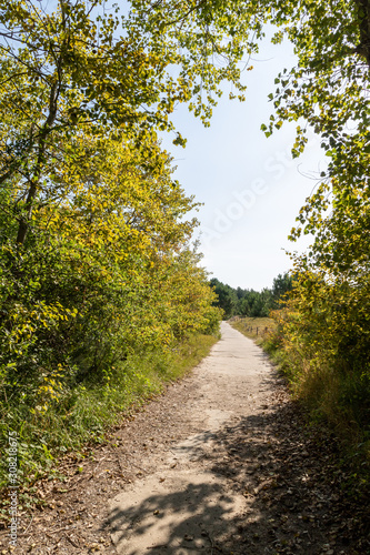 Le Chemin des Juifs dans les dunes d'Ecault, réalisé par des déportés en 1942