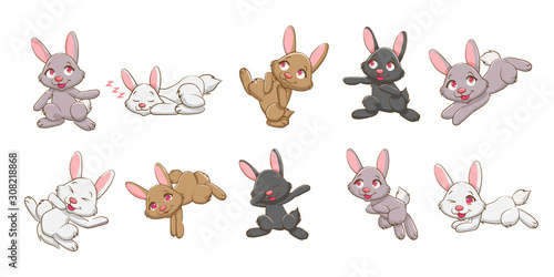 bunny vector set collection graphic clipart design