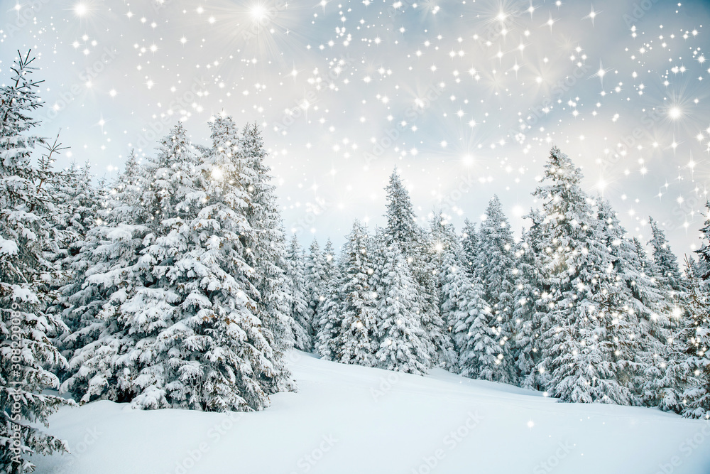 Scenic winter landscape with snowy fir trees. Winter postcard. Scenic winter landscape with snowy fir trees. Winter postcard.