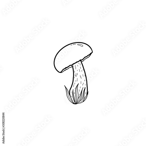 Black and white illustration of a mushroom in the grass. Mushroom on a curved long leg. Isolated object on a white background.
