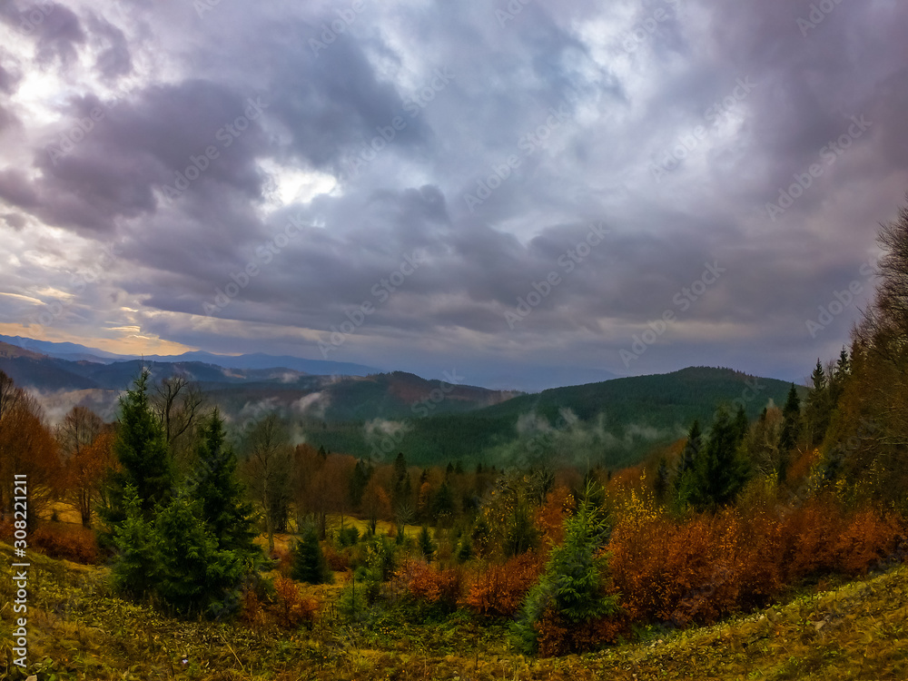 Autumn landscape background in the rain weather with fog