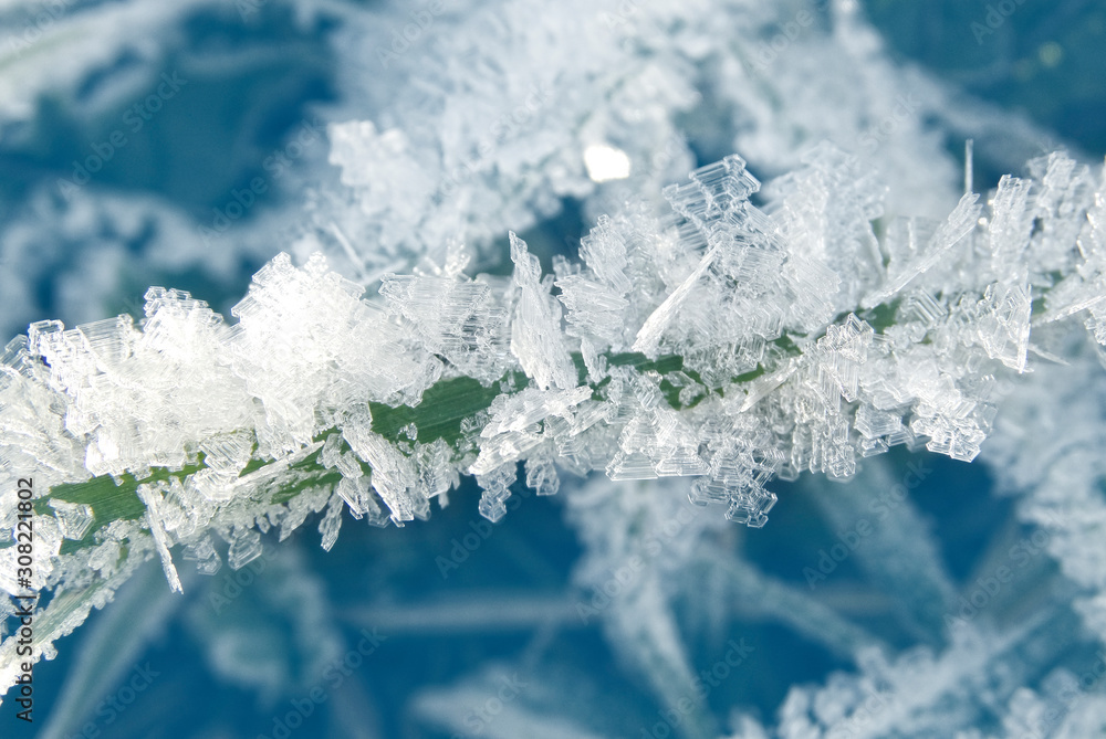 Fototapeta premium winter background with snowflakes crystals patterns and snow on frozen grass