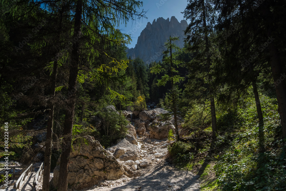 Alto Adige sunny day nature alps outdoor Alto Adige sunny day nature alps outdoor