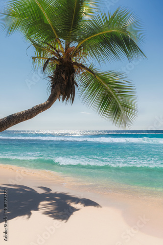 Fototapeta Naklejka Na Ścianę i Meble -  Tropical beach in paradise Caribbean island