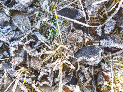 winter background with snowflakes crystals patterns and snow on frozen grass