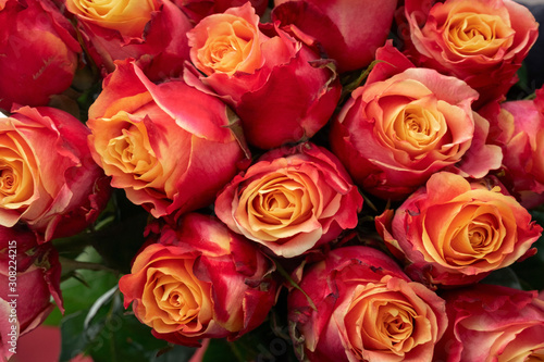 vivid red and orange roses buds close up  natural botanical texture for a background top view