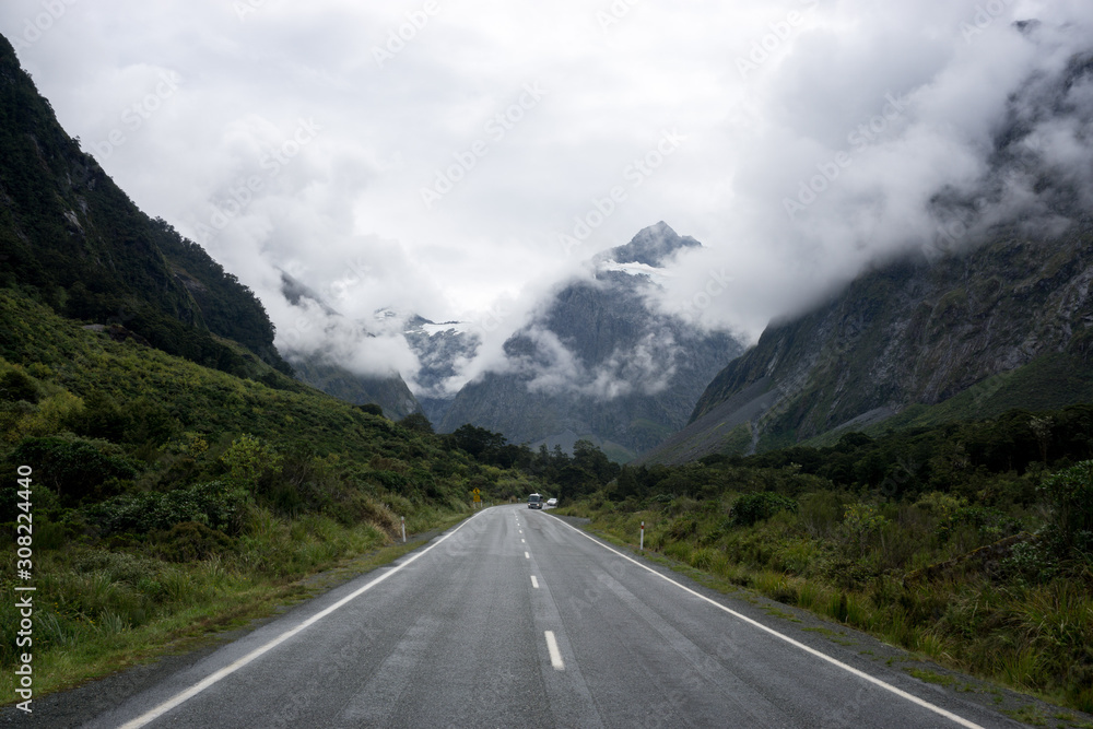 Naklejka premium Street surrounded by an endless forest