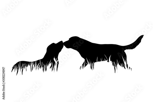 Vector silhouette of dogs in the grass on white background. Symbol of animal, pet, friends, nature, park, garden.