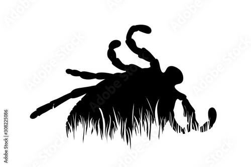 Vector silhouette of tick in the grass on white background. Symbol of animal, insect, wild, nature, park, garden.