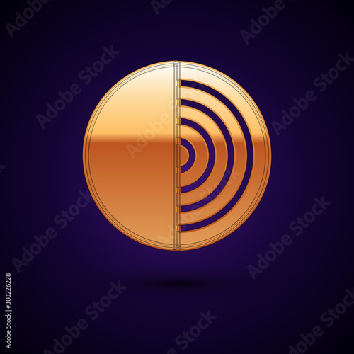 Gold Earth structure icon isolated on dark blue background. Geophysics concept with earth core and section layers earth. Vector Illustration