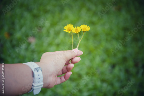 yellow flower in the hand of young woman,Inspirational quote - Start each day with a positive thought. Beauty in hand concept. Yellow flower in hand. Young woman fingers holds beautiful little flowers