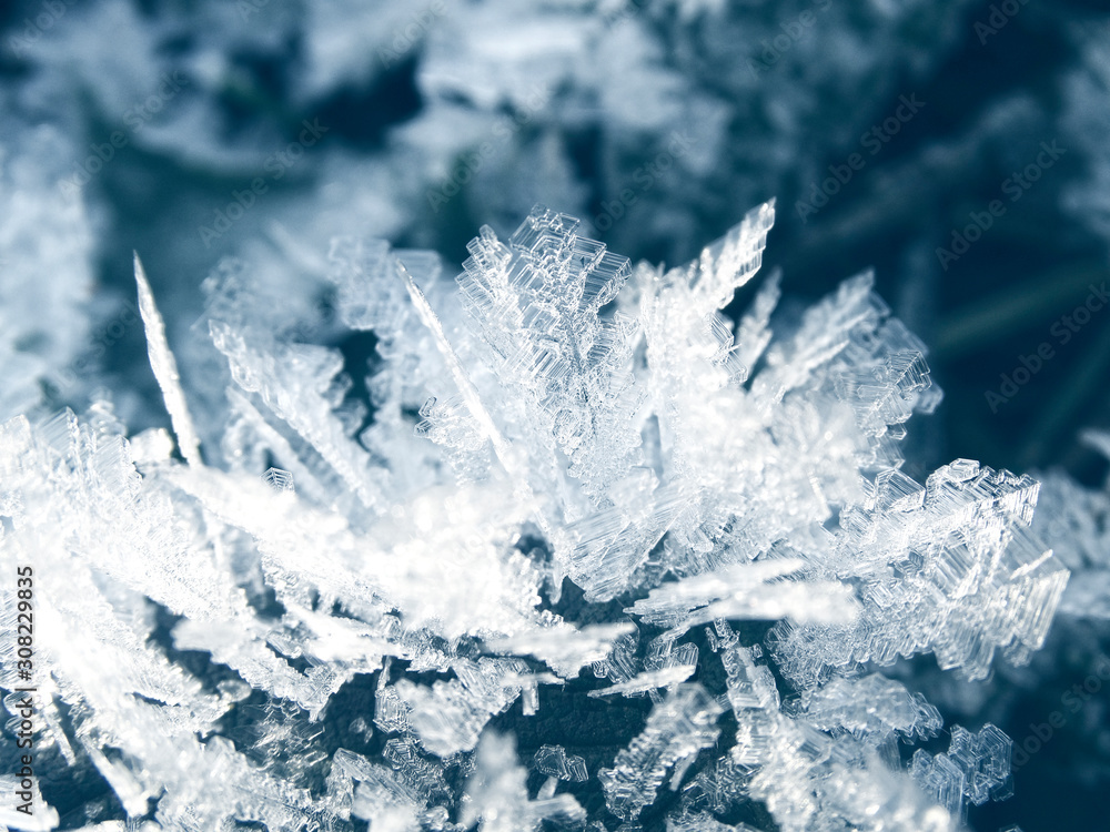 Fototapeta premium winter background with snowflakes crystals patterns and snow on frozen grass