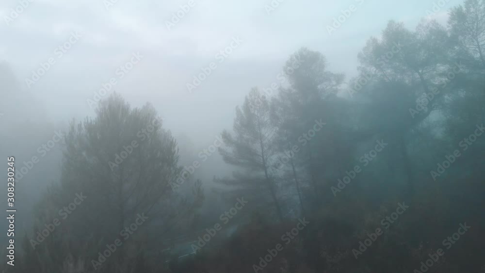 Flying through trees then into thick fog during pink and violet sunset and emerging high above the haze to reveal rolling green forested covered hills; France, aerial footage Flying through trees then into thick fog during pink and violet sunset and emerging high above the haze to reveal rolling green forested covered hills; France, aerial footage
