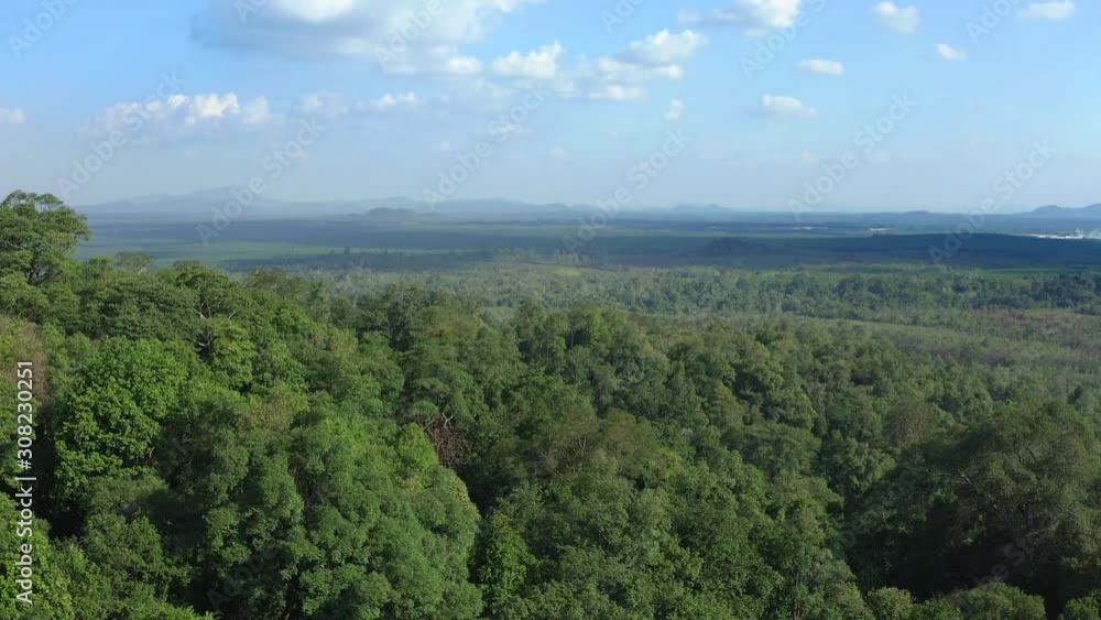 Aerial shot showing mountains on the horizon, and then dipping into the tree canopy Aerial shot showing mountains on the horizon, and then dipping into the tree canopy