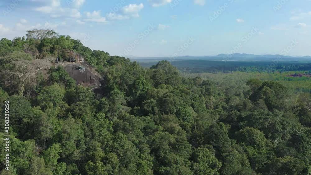 Backwards aerial pan of scenic forest view Backwards aerial pan of scenic forest view