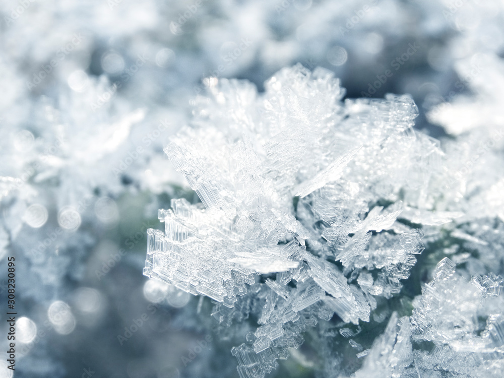 winter background with snowflakes crystals patterns and snow on frozen grass winter background with snowflakes crystals patterns and snow on frozen grass
