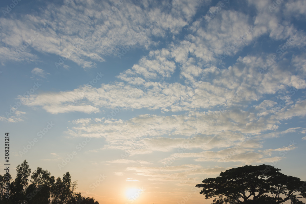 The silhouette of the tree, the bright orange sky and the light of the sun The silhouette of the tree, the bright orange sky and the light of the sun