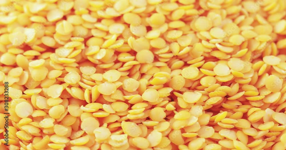 Lentil Persian bulk Lentil Persian bulk
