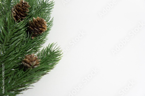 christmas tree branch with cones